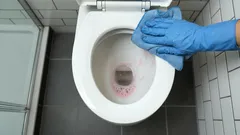 Mit diesem Hausmittel wird der Toilettenrand wieder strahlend sauber